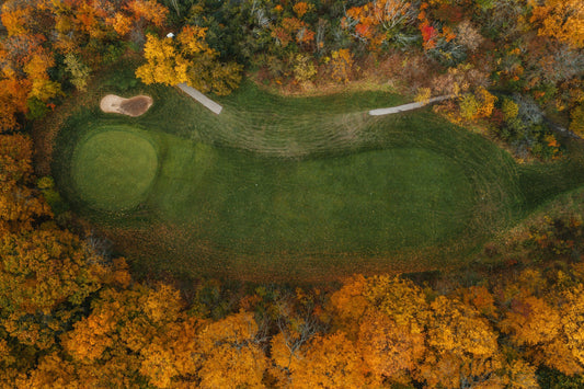 What courses do golf simulators have?